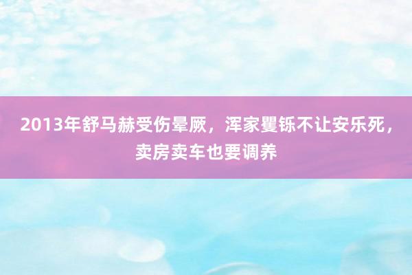 2013年舒马赫受伤晕厥，浑家矍铄不让安乐死，卖房卖车也要调养