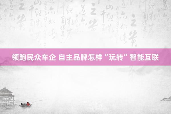 领跑民众车企 自主品牌怎样“玩转”智能互联