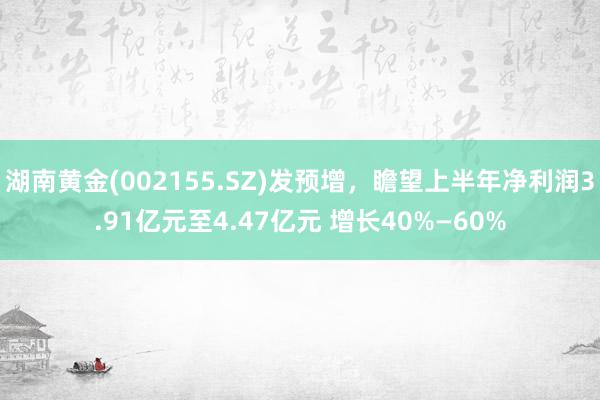 湖南黄金(002155.SZ)发预增，瞻望上半年净利润3.91亿元至4.47亿元 增长40%—60%