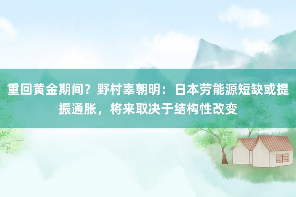 重回黄金期间？野村辜朝明：日本劳能源短缺或提振通胀，将来取决于结构性改变