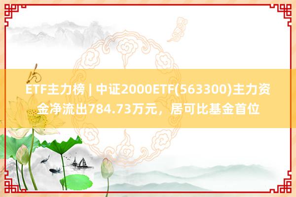 ETF主力榜 | 中证2000ETF(563300)主力资金净流出784.73万元，居可比基金首位