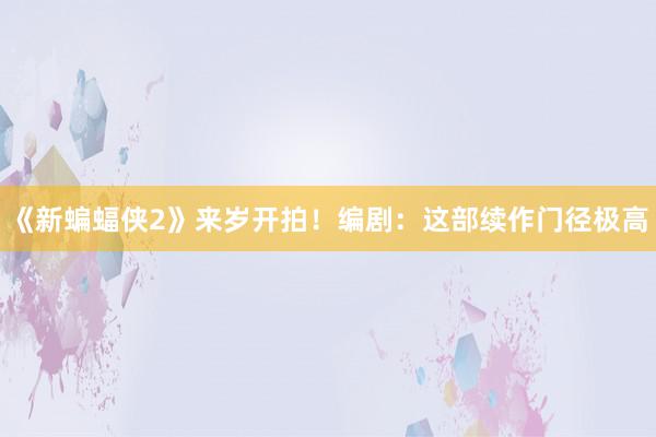 《新蝙蝠侠2》来岁开拍！编剧：这部续作门径极高