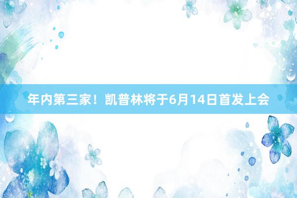 年内第三家！凯普林将于6月14日首发上会